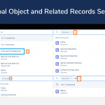 Global Object and Related Records Search