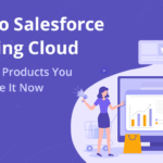 Guide To Salesforce Marketing Cloud: Benefits And Products You May Integrate It Now