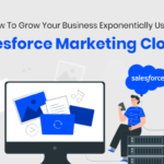 How To Grow Your Business Exponentially Using Salesforce Marketing Cloud?