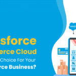 Why Salesforce Commerce Cloud Is The Best Choice For Your Ecommerce Business?