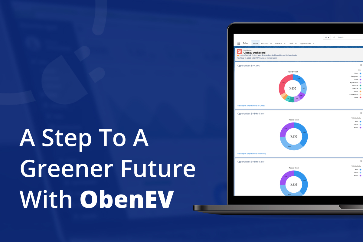 A Step To A Greener Future With ObenEV