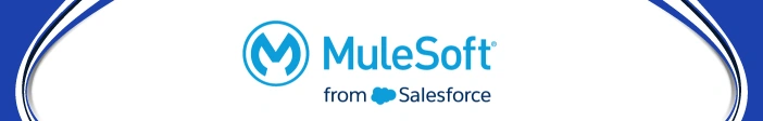 MuleSoft Anypoint