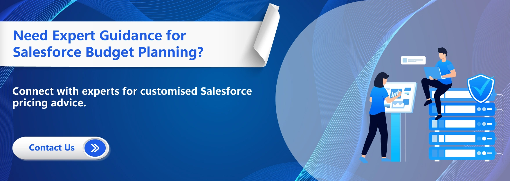 Need Expert Guidance for Salesforce Budget Planning