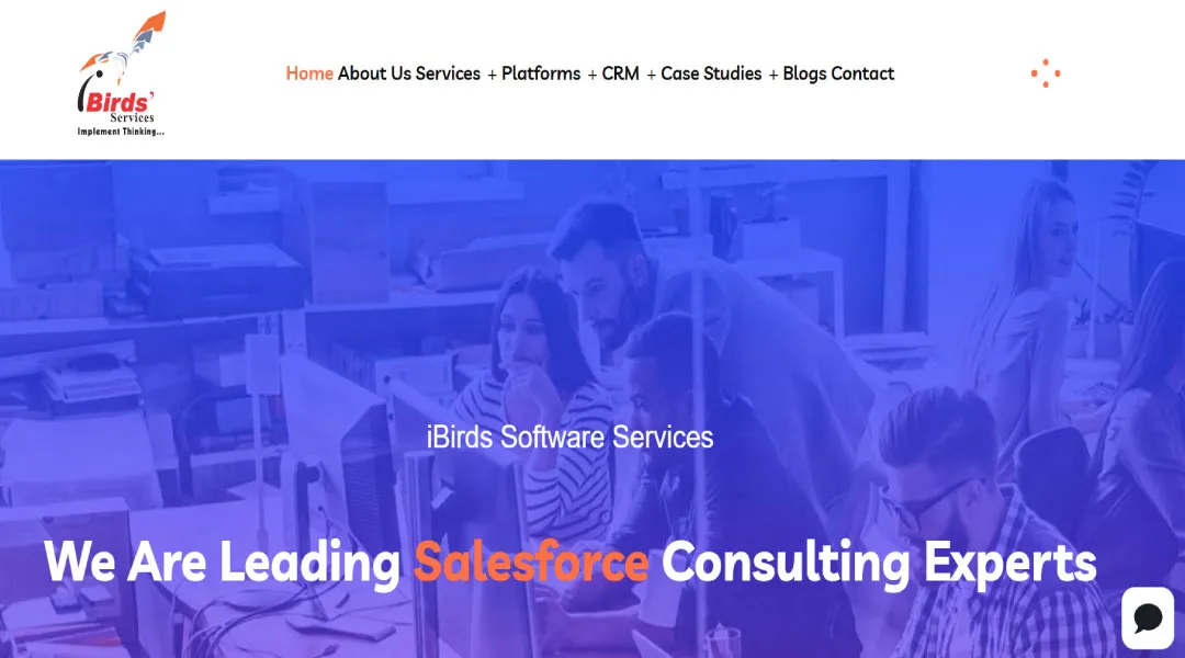 iBirds Software Services Pvt. Ltd
