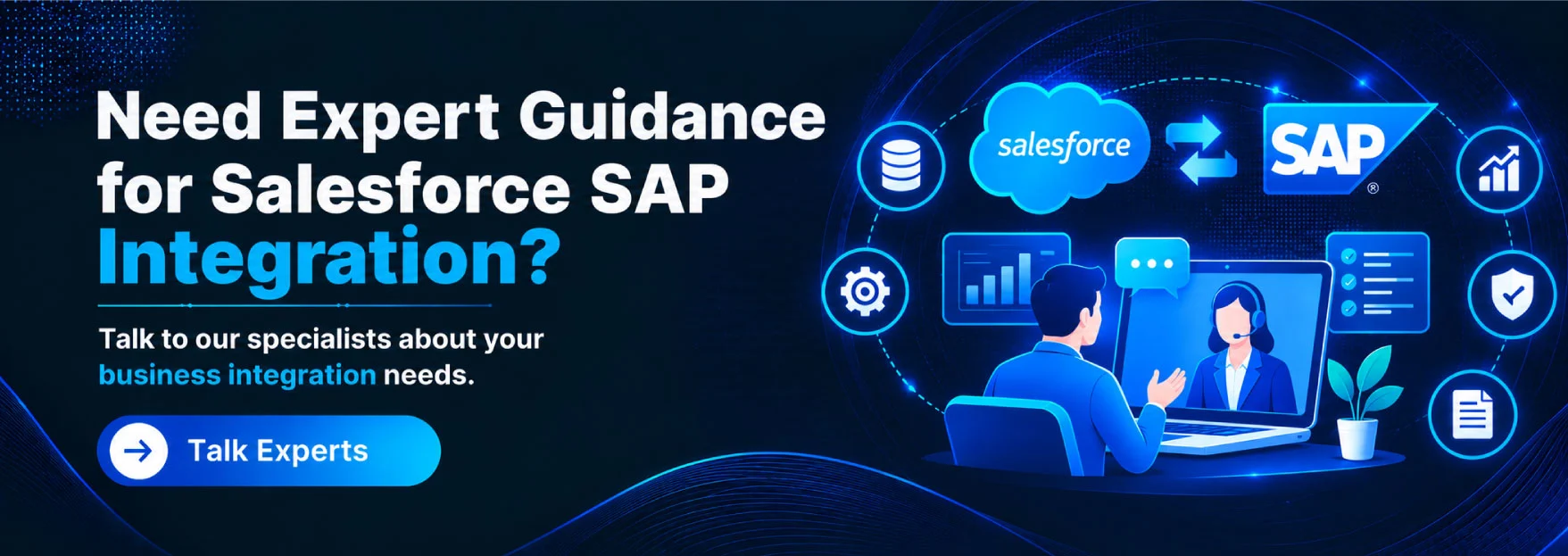 Need Expert Guidance For Salesforce SAP Intergration